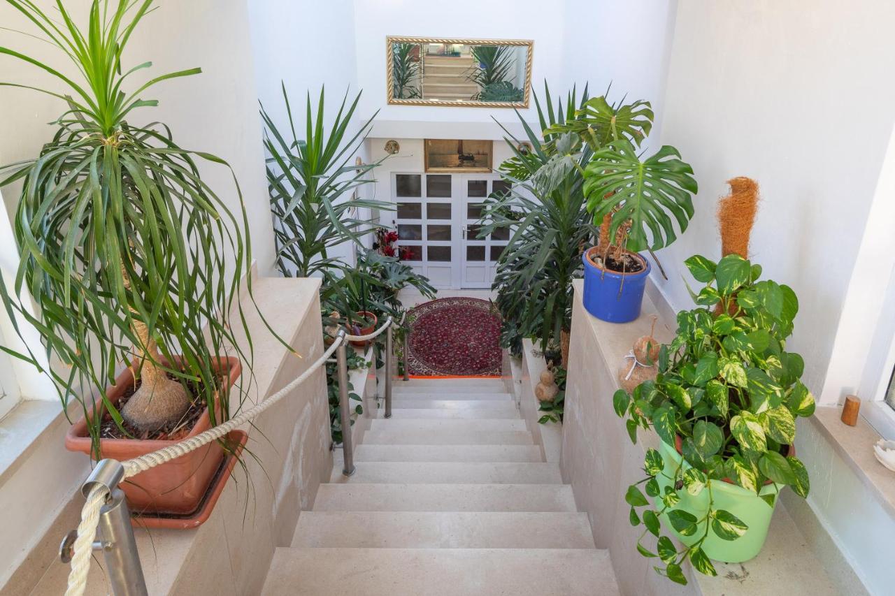 Germania Rooms & Apartments Celina Luaran gambar